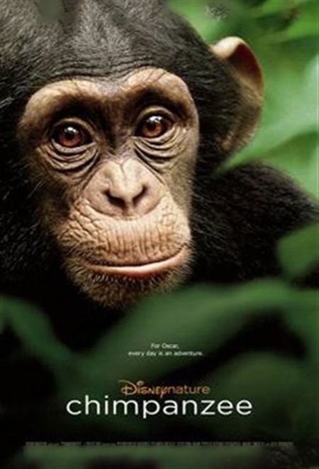  فیلم شامپانزه